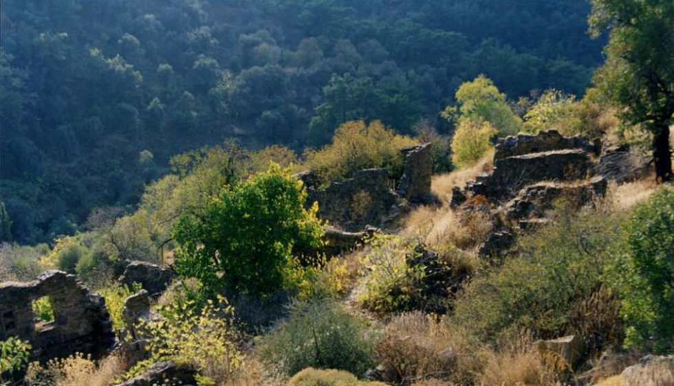 Ερείπια του Λαρδάτου, χωριού των μεταλλωρύχων, μέσα στην άγρια βλάστηση της κοιλάδας